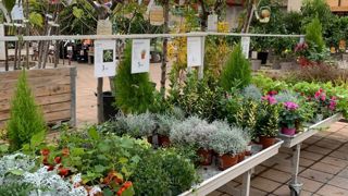 Pour toucher une clientèle urbaine et novice, il faut plus qu’une présentation sur tablette de vente pour répondre à leurs angoisses. Un webinaire devrait donner des clés pour mieux mettre en avant les végétaux d’ornement. ©O.Maillard Pour toucher une clientèle urbaine et novice, il faut plus qu’une présentation sur tablette de vente pour répondre à leurs angoisses. Un webinaire devrait donner des clés pour mieux mettre en avant les végétaux d’ornement. ©O.Maillard